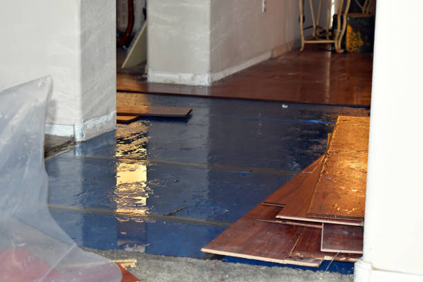 Professional Basement Flood Cleanup technician working in Bangor, MI